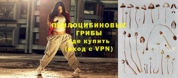 a pvp Алексин
